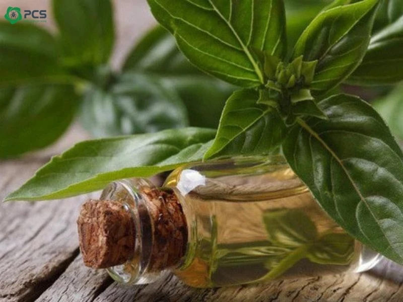 tinh dầu đuổi gián 